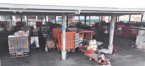 年貨市場(chǎng)消費(fèi)旺 菜籃子 供得上 確保群眾歡樂祥和過節(jié)